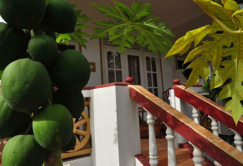 اتاق استاندارد, Mama S Place Mirissa