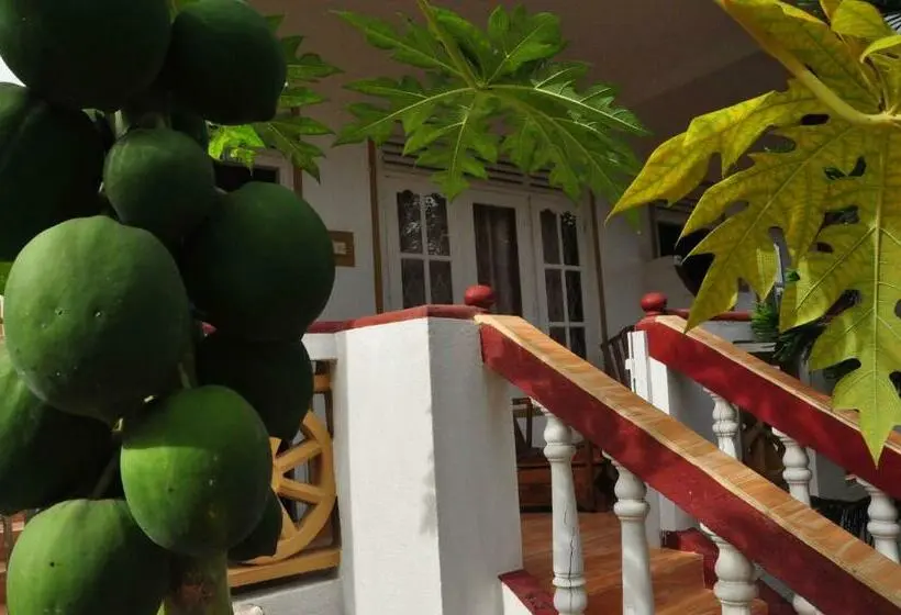 اتاق استاندارد, Mama S Place Mirissa