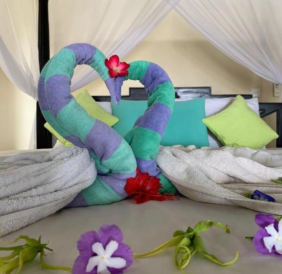 חדר אקונומי, Diver S Cafe Amed