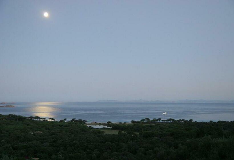 חדר סטנדרט נוף לים עם מרפסת, Chambres D'hôtes Littariccia