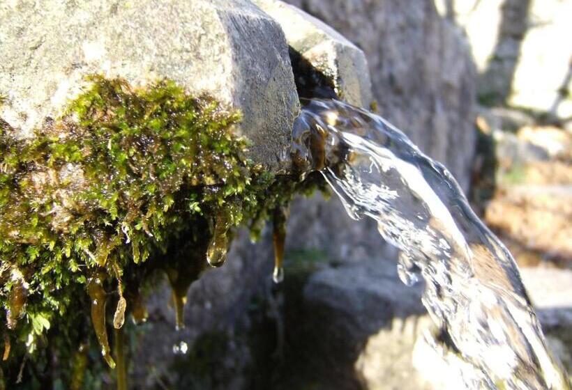 חדר סטנדרט נוף לים, Chambres D'hôtes Littariccia