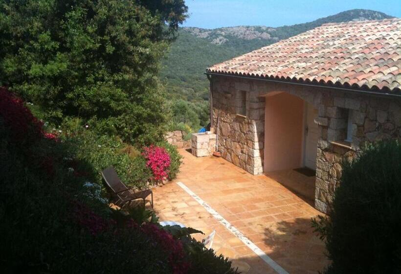 חדר סטנדרט נוף לים, Chambres D'hôtes Littariccia