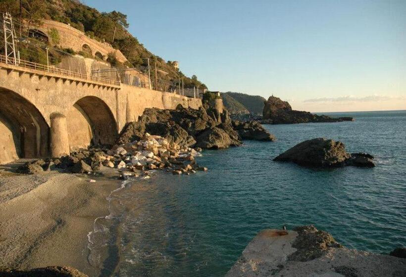 חדר סטנדרט, Silvia