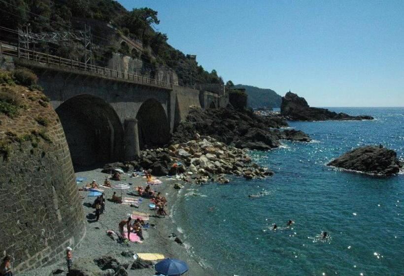 חדר סטנדרט, Silvia