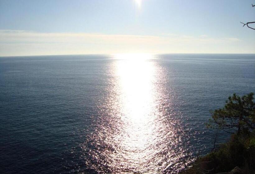 חדר סטנדרט, Silvia