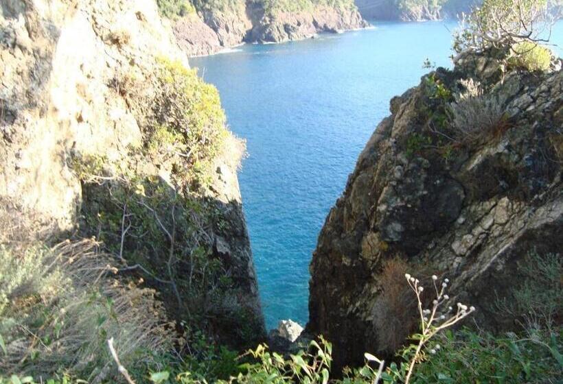 חדר סטנדרט, Silvia