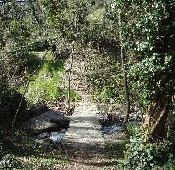 חדר סטנדרט, Silvia