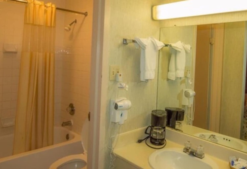 Номер Стандарт 2 Двуспальные Кровати, Executive Inn Hotel & Conference Centre