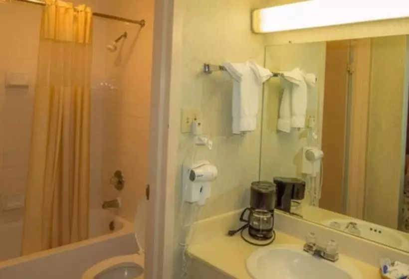 Standard Room 2 Double Beds