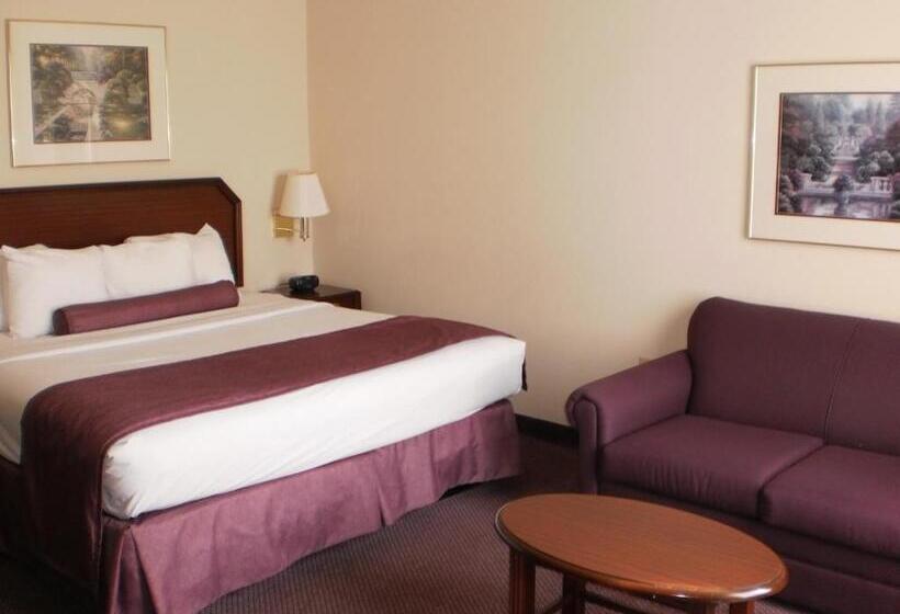 غرفة قياسية سرير كينج, Ashmore Inn And Suites Amarillo