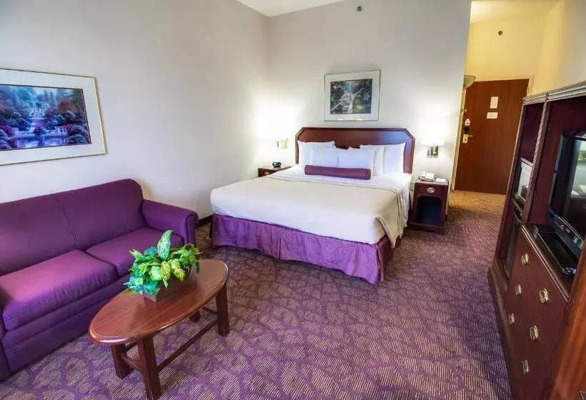 اتاق استاندارد با تخت بزرگ, Ashmore Inn And Suites Amarillo