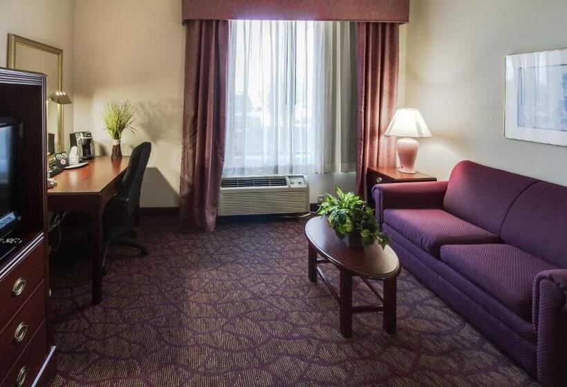 غرفة قياسية سرير كينج, Ashmore Inn And Suites Amarillo