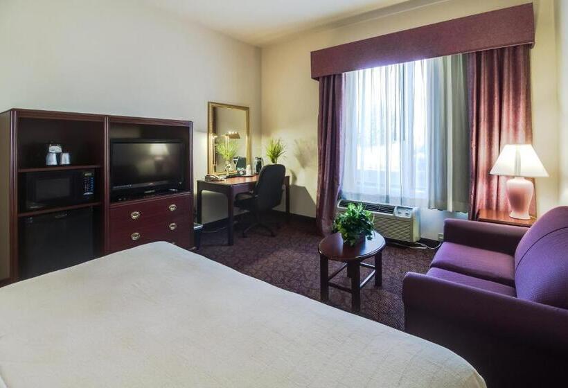 غرفة قياسية سرير كينج, Ashmore Inn And Suites Amarillo