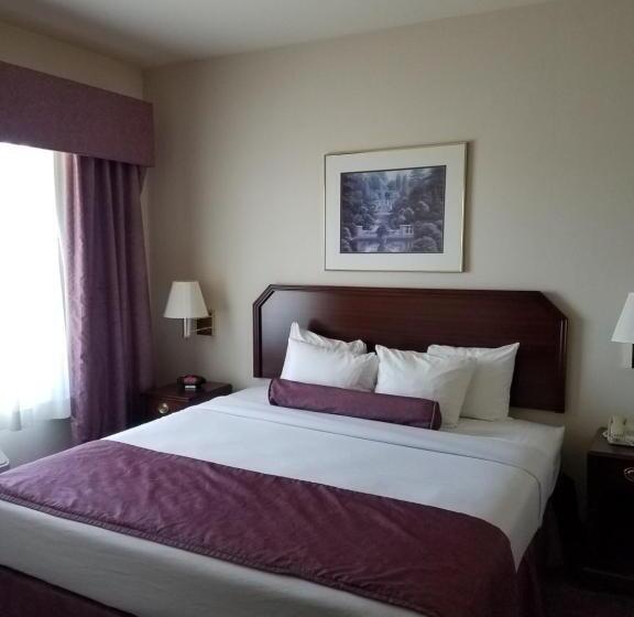 غرفة قياسية سرير كينج, Ashmore Inn And Suites Amarillo