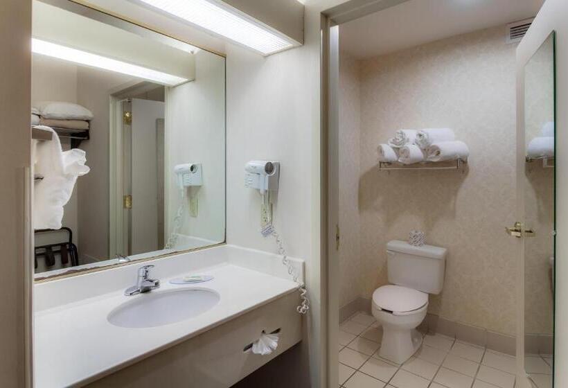 غرفة قياسية سرير كينج, Ashmore Inn And Suites Amarillo