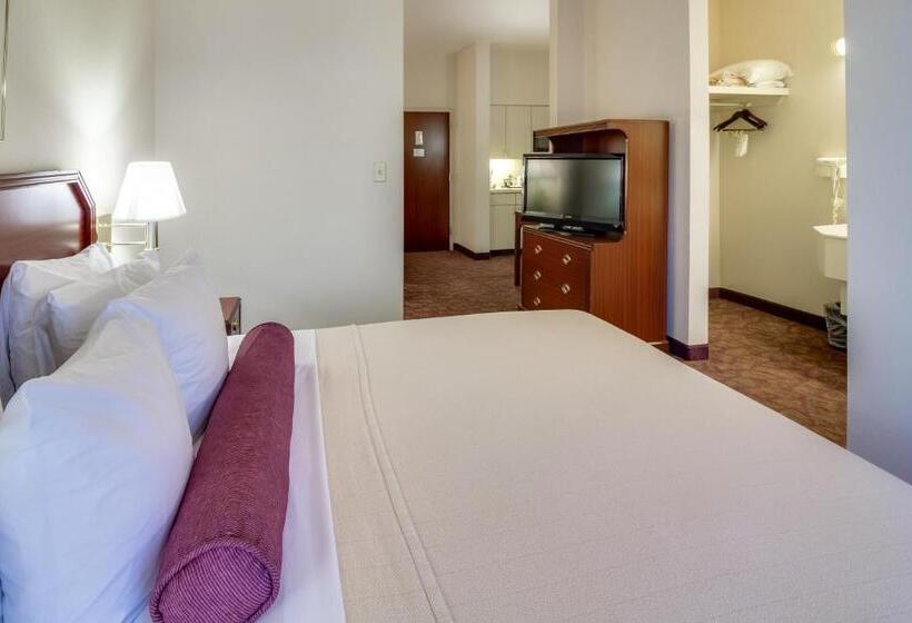 Studio Deluxe, Ashmore Inn And Suites Amarillo