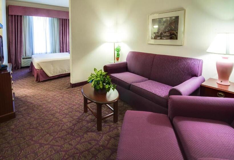 إستوديو قياسى سرير كينج, Ashmore Inn And Suites Amarillo