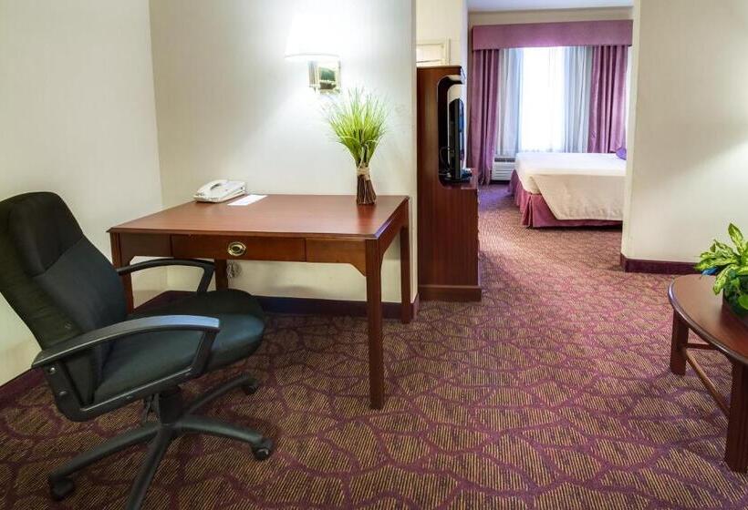 Studio Standard Lit King Size, Ashmore Inn And Suites Amarillo