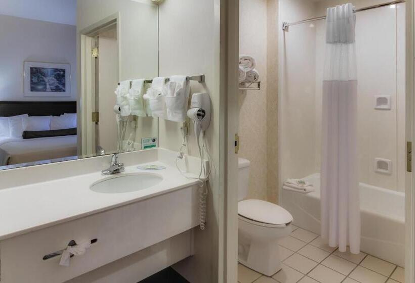 إستوديو قياسى سرير كينج, Ashmore Inn And Suites Amarillo