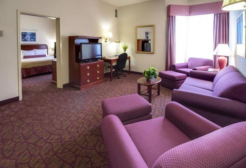 Suite Lit King, Ashmore Inn And Suites Amarillo