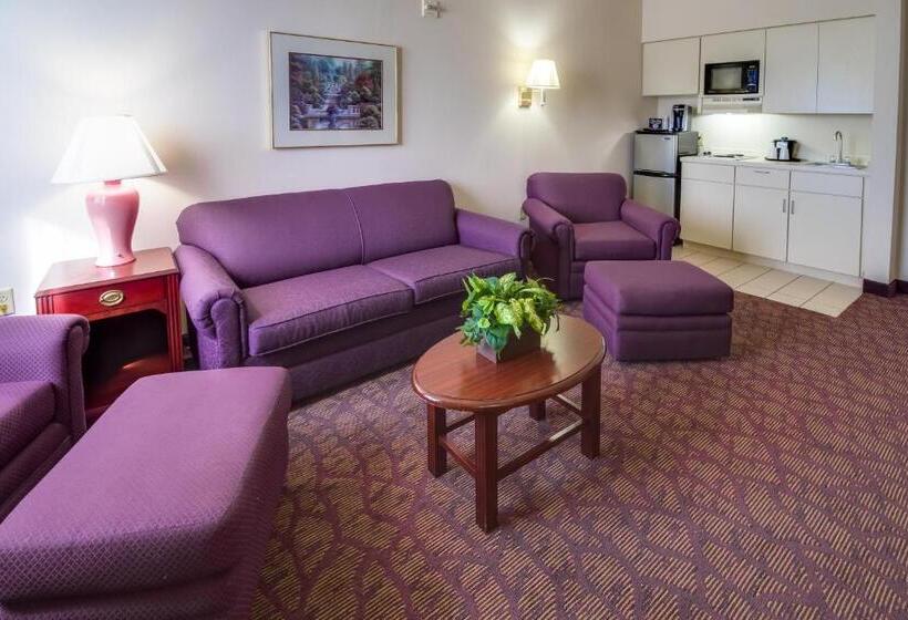 جناح سرير كينج, Ashmore Inn And Suites Amarillo