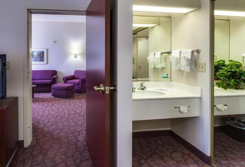 جناح سرير كينج, Ashmore Inn And Suites Amarillo