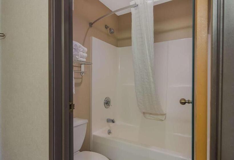 غرفة قياسية لذوى الاحتياجات الخاصة, Park Inn By Radisson