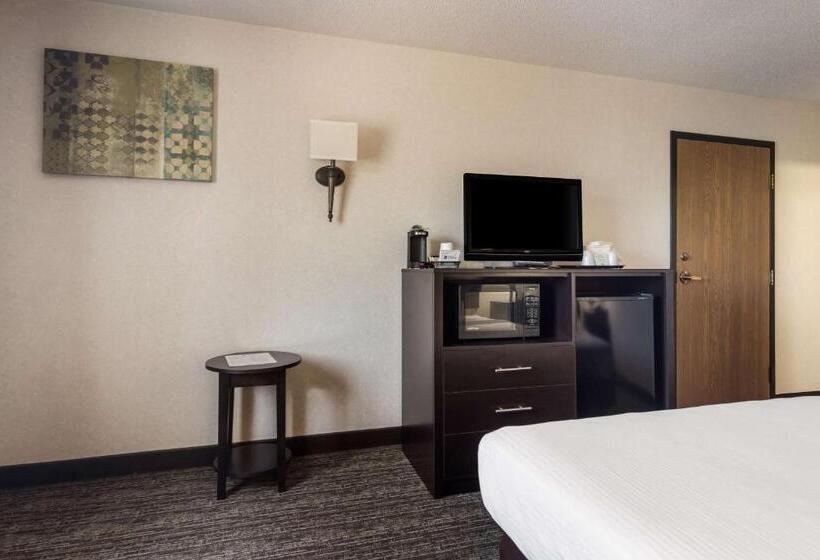 غرفة قياسية لذوى الاحتياجات الخاصة, Park Inn By Radisson