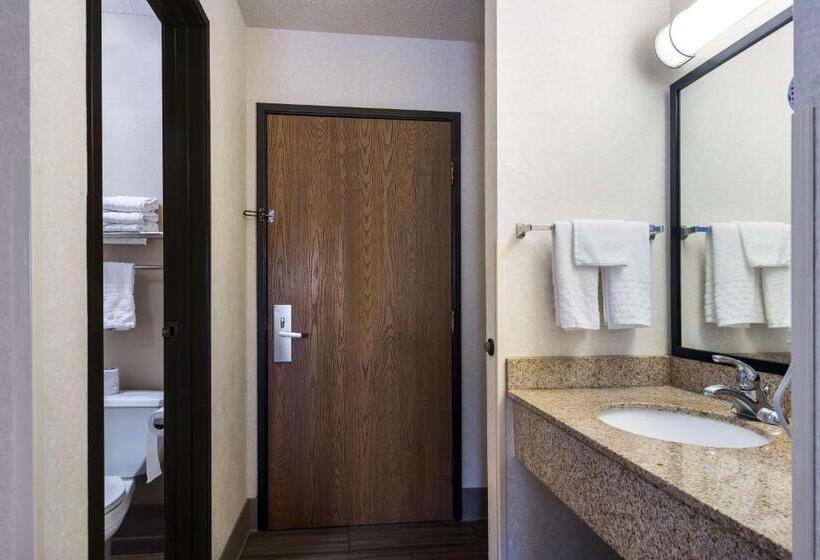 غرفة قياسية سرير كينج, Park Inn By Radisson