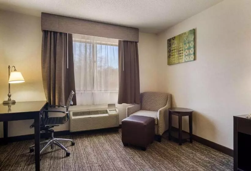 キングサイズベッドのスタンダードルーム, Park Inn By Radisson
