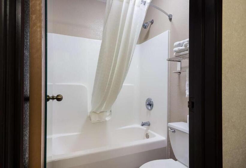 غرفة قياسية سرير كينج, Park Inn By Radisson