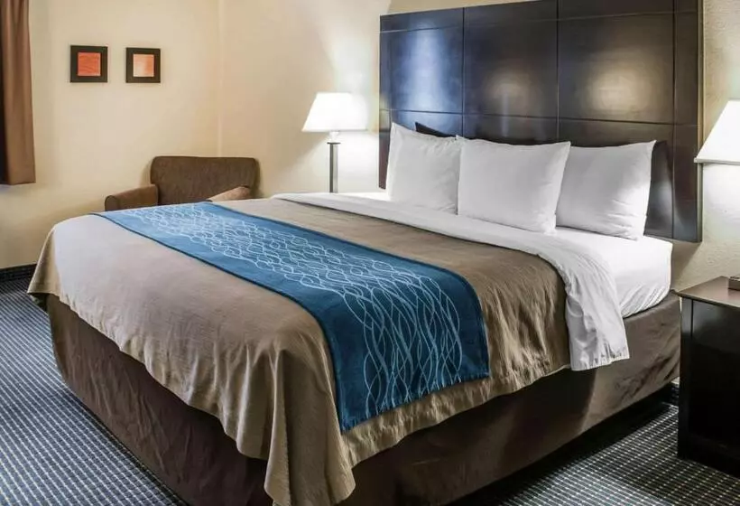 اتاق استاندارد با تخت بزرگ, Comfort Inn Gallup I40 Exit 20