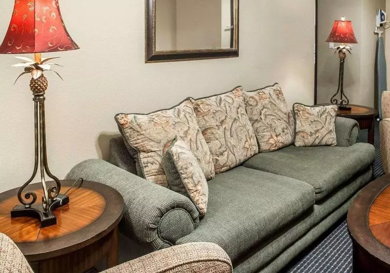 سوئیت با تخت بزرگ, Comfort Inn Gallup I40 Exit 20