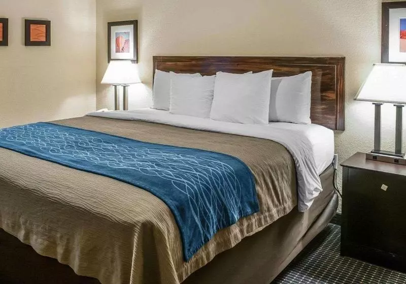 سوئیت با تخت بزرگ, Comfort Inn Gallup I40 Exit 20