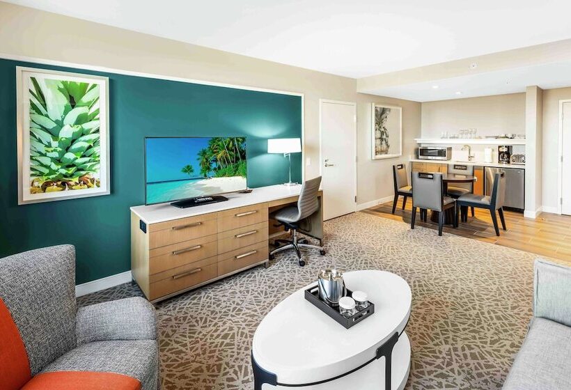 带双人床的标准工作室, Hilton Miami Dadeland