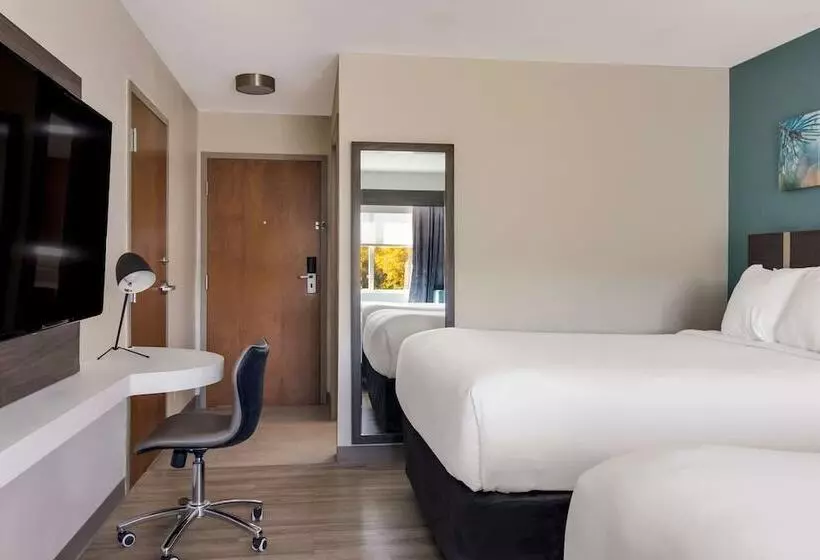 ２ダブルベッドのスタンダードルーム, Sleep Inn & Suites Clarion, Pa Near I 80