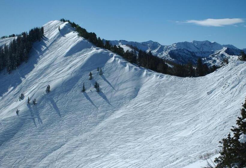 شقة غرفتين, New Claim Condominiums 405