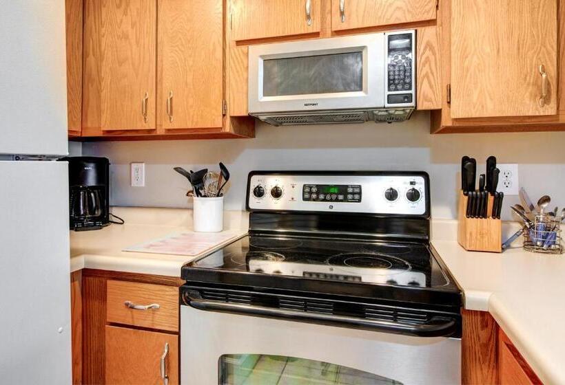 شقة غرفتين, New Claim Condominiums 405