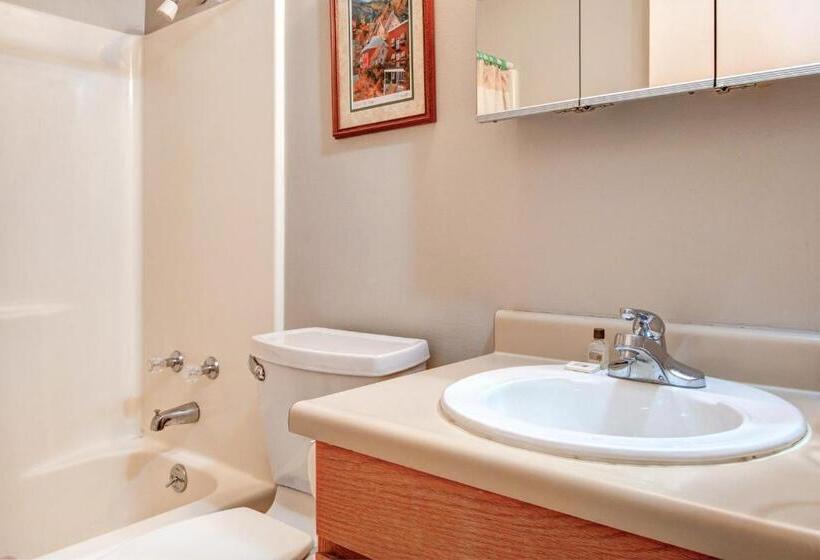 شقة غرفتين, New Claim Condominiums 405