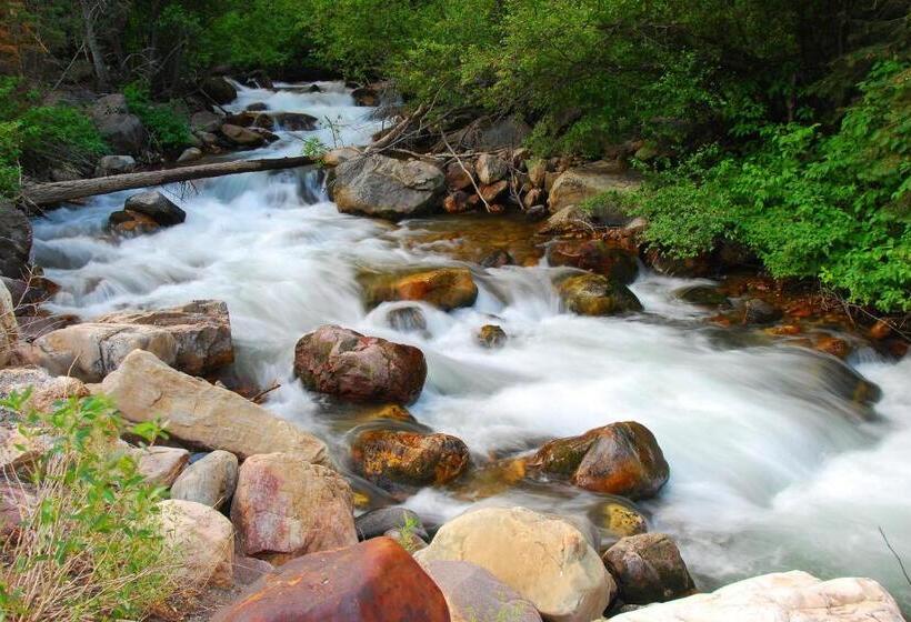 شقة غرفتين, New Claim Condominiums 405