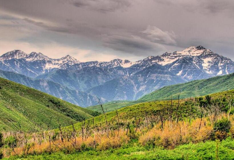 شقة غرفتين, New Claim Condominiums 405