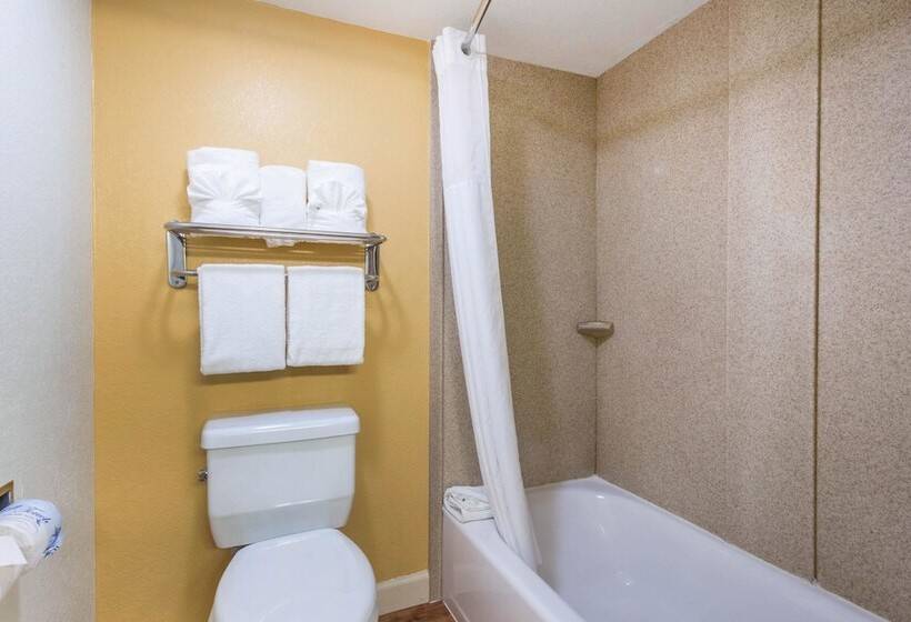 Standard Room 2 Double Beds