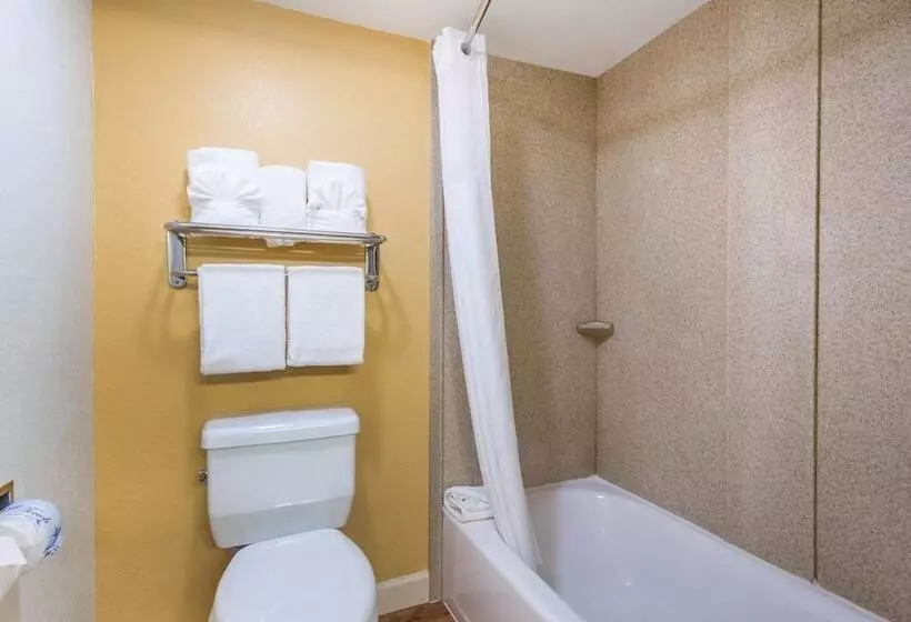Standard Room 2 Double Beds