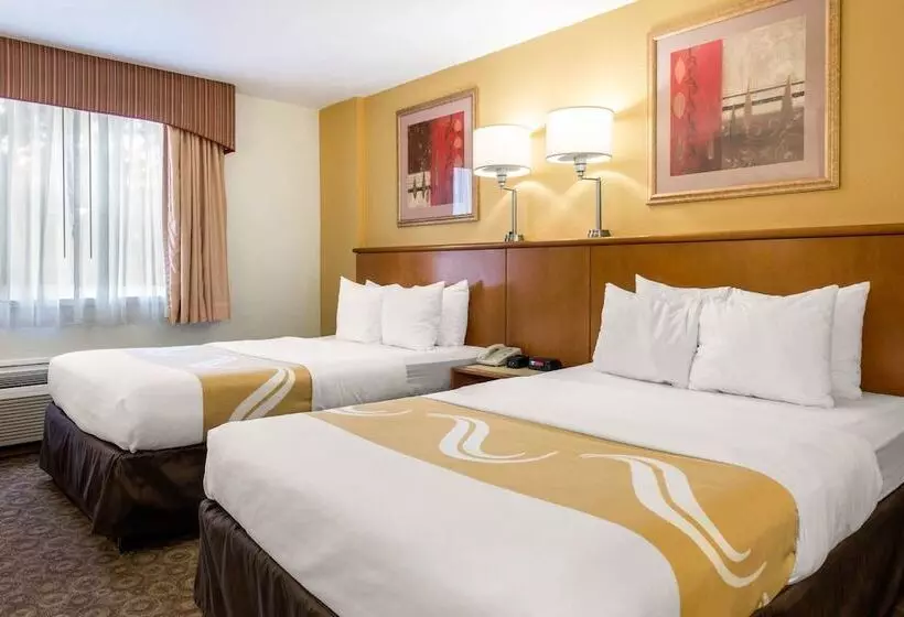 ２ダブルベッドのスタンダードルーム, Quality Inn & Suites Near The Theme Parks