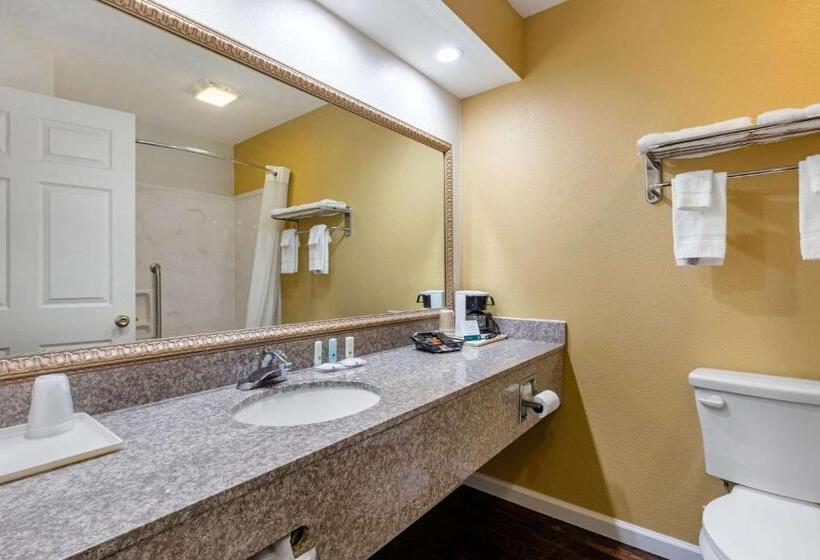 Стандартный Номер Кровать Кинг, Quality Inn West Memphis I40