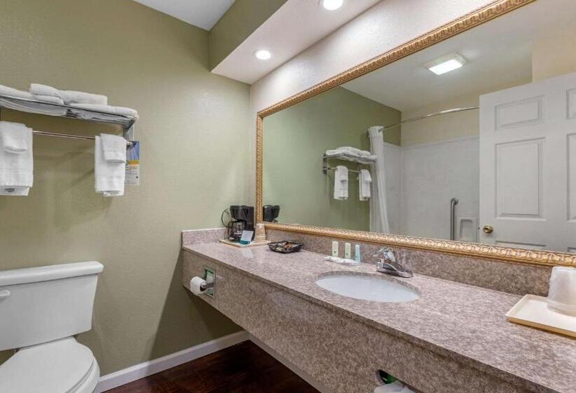 スタンダードルーム, Quality Inn West Memphis I40