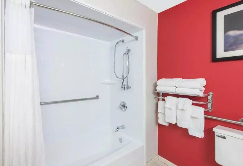اتاق استاندارد با تخت بزرگ, Ramada By Wyndham Springfield North