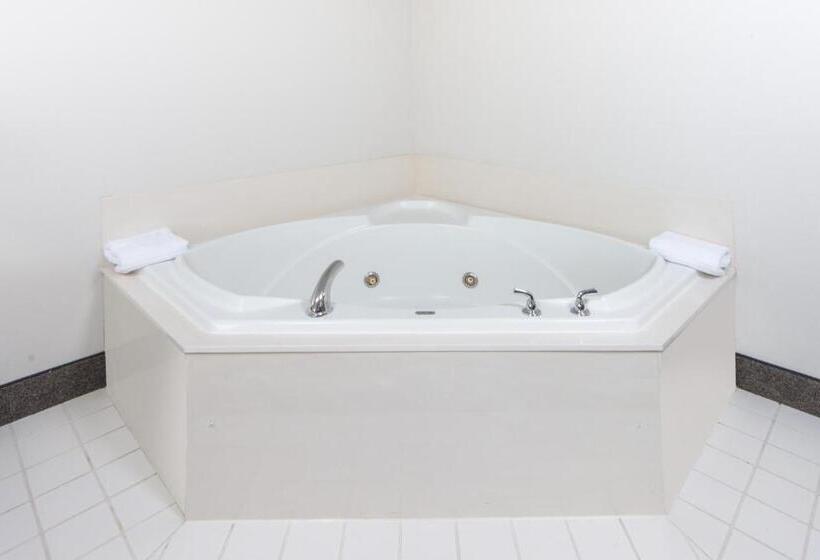 キングサイドベッドのスタンダードワンルーム, Ramada By Wyndham Springfield North