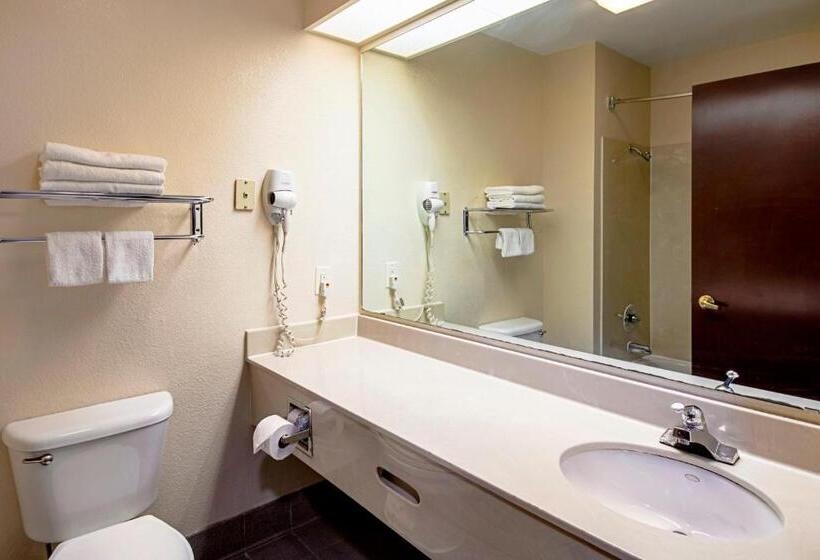 Номер Superior Кровать Кинг, Red Roof Inn San Marcos