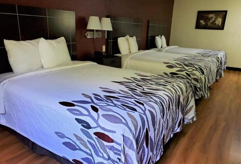 חדר דלוקס, Red Roof Inn San Marcos